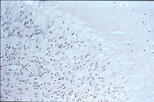 Case 6 - Figure 10