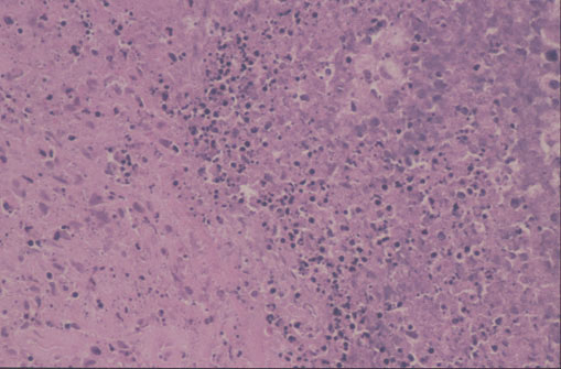 Case 6 - Figure 4