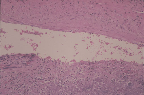 Case 6 - Figure 7