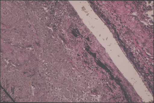 Case 6 - Figure 8
