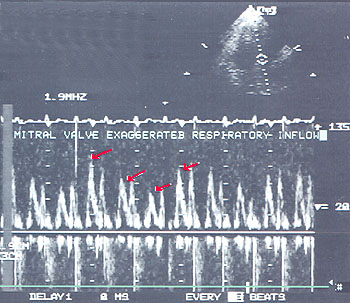 Case 7 - Figure 4