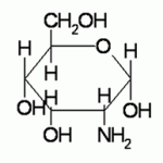 glucosamine
