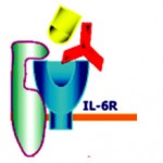 tocilizumab-approval