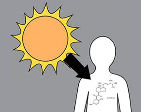 Arthritis News Vitamin D And Sunlight Exposure Are