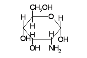Molecular Structure of Glucosamine