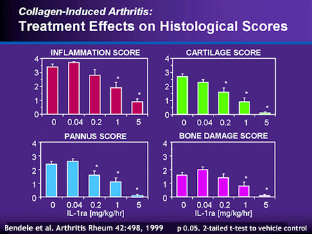 Collagen-Induced Arthritis