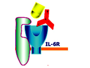 Tocilizumab prevents binding of IL-6 with its receptor